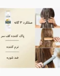 نتاغ